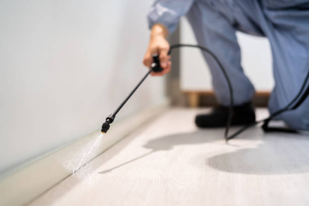 Licensed Termite Control service in Canton, GA - Nex Pest Control
