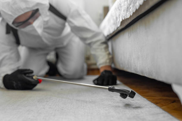 Professional Termite Control technician working in Canton, GA