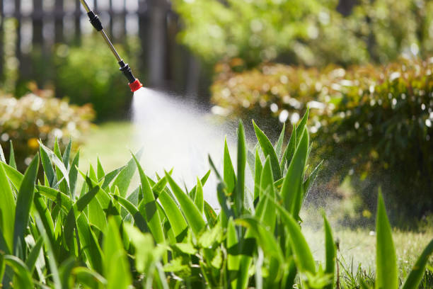 24/7 Emergency Termite Control experts in Canton, GA
